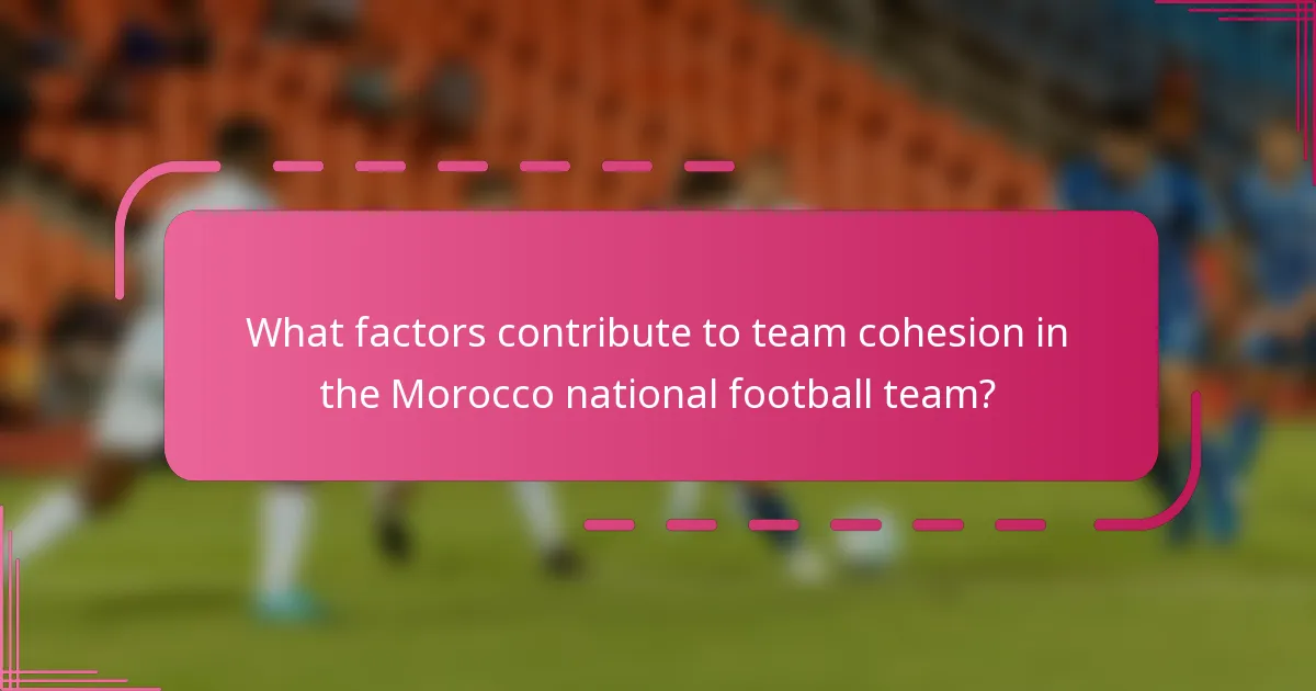 What factors contribute to team cohesion in the Morocco national football team?